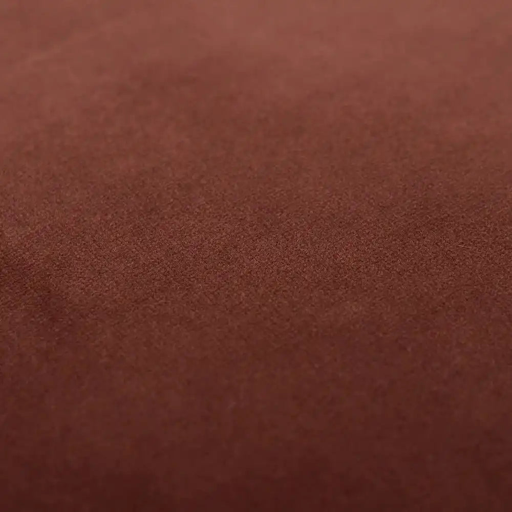 أليساندرا شيري