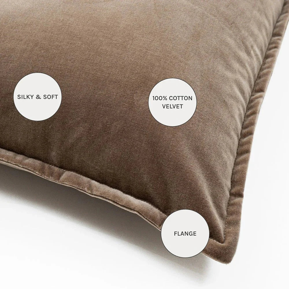 Alessandra Braun - Brown Velvet Cushion Online | Carpet Centre