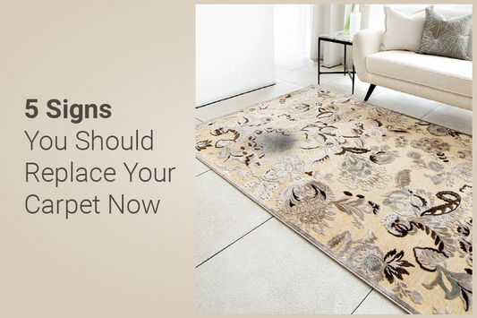 Is It Time for a New Carpet? 5 Signs You Should Replace Your Carpet Now