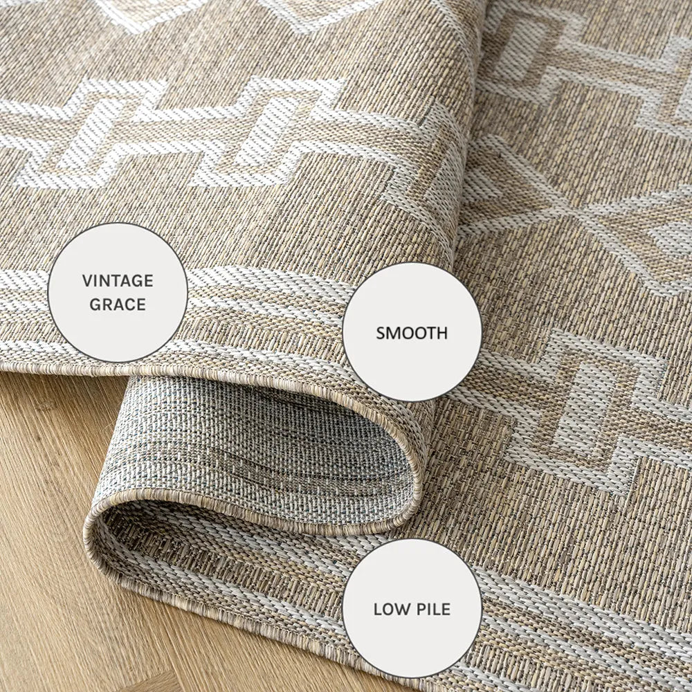 Летние лесные бегуны