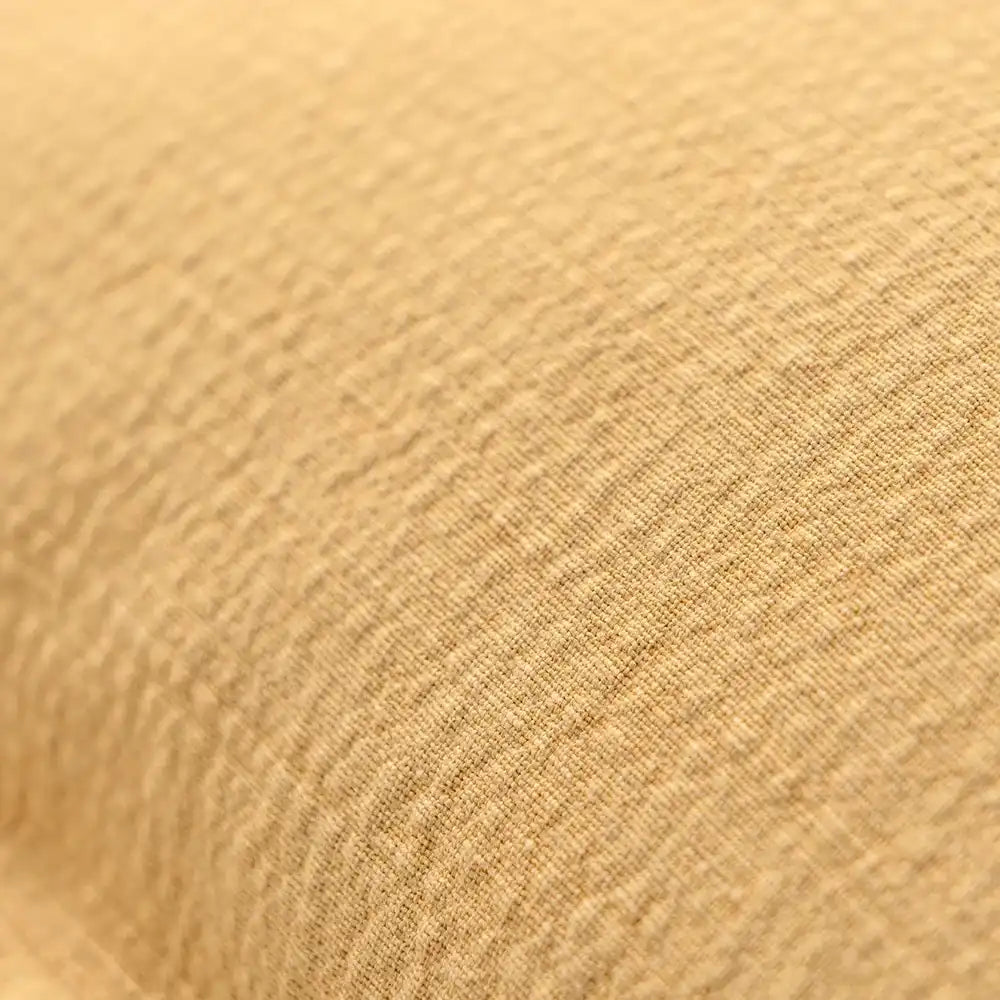 سينا باريمور