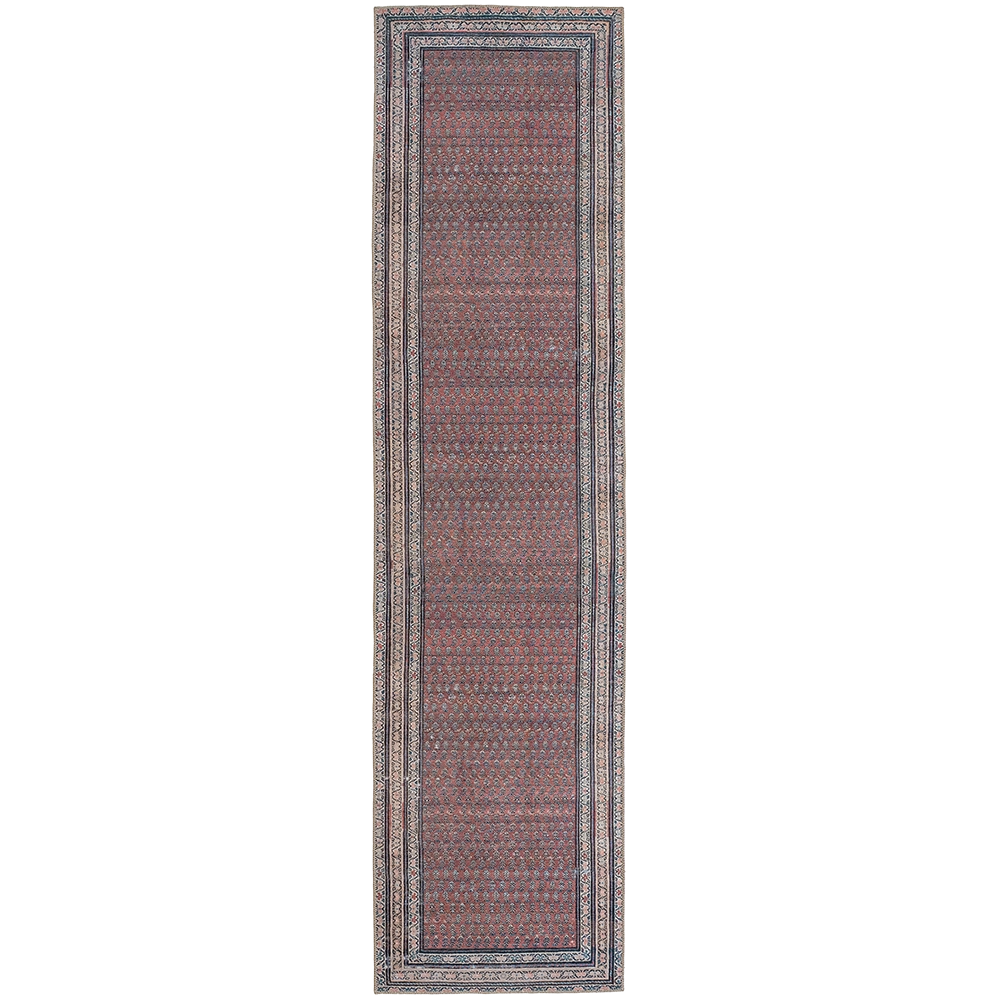 Vincent Coral Runners