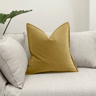 أليساندرا طحلب